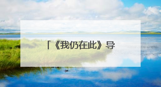 《我仍在此》导演沃尔特·塞勒斯：我喜欢中国山水画的留白