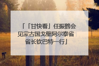 「甘快看」任振鹤会见蒙古国戈壁阿尔泰省省长钦巴特一行