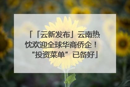 「云新发布」云南热忱欢迎全球华商侨企！“投资菜单”已备好