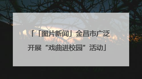 「图片新闻」金昌市广泛开展“戏曲进校园”活动