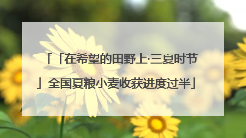 「在希望的田野上·三夏时节」全国夏粮小麦收获进度过半