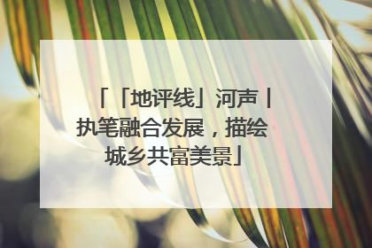 「地评线」河声丨执笔融合发展，描绘城乡共富美景