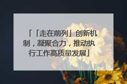 「走在前列」创新机制，凝聚合力，推动执行工作高质量发展