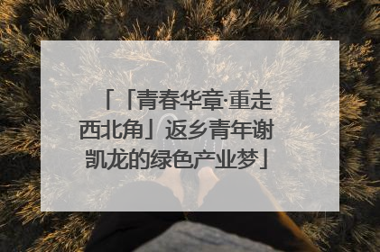 「青春华章·重走西北角」返乡青年谢凯龙的绿色产业梦
