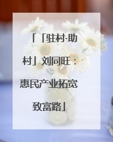 「驻村·助村」刘同旺：惠民产业拓宽致富路