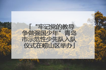 “牢记党的教导 争做强国少年”青岛市示范性少先队入队仪式在崂山区举办