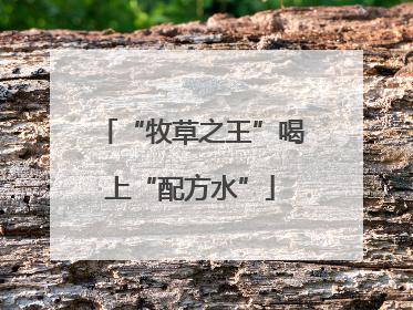 “牧草之王”喝上“配方水”