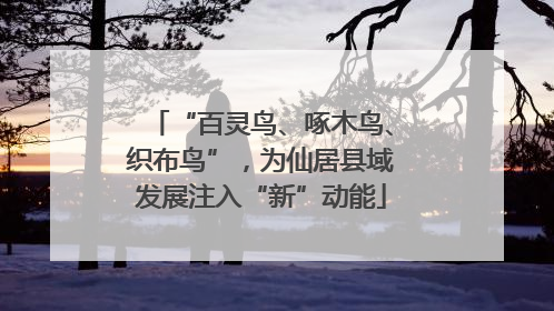 “百灵鸟、啄木鸟、织布鸟”，为仙居县域发展注入“新”动能