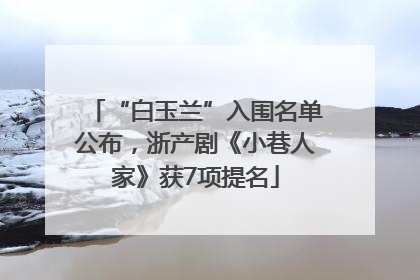 “白玉兰”入围名单公布，浙产剧《小巷人家》获7项提名