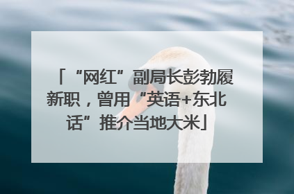 “网红”副局长彭勃履新职，曾用“英语+东北话”推介当地大米