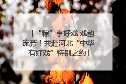 “粽”享好戏 戏韵流芳！共赴河北“中华有好戏”特别之约