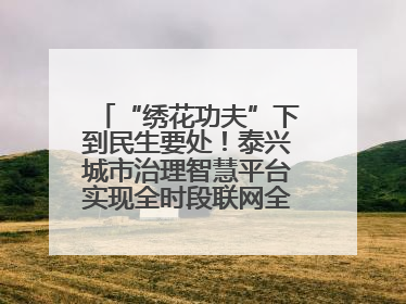 “绣花功夫”下到民生要处！泰兴城市治理智慧平台实现全时段联网全要素细治
