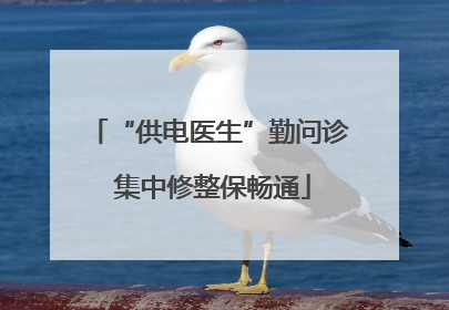“供电医生”勤问诊 集中修整保畅通