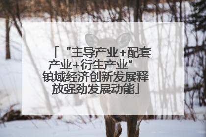 “主导产业+配套产业+衍生产业” 镇域经济创新发展释放强劲发展动能