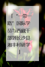 “一带一路”国际学员与西藏干部到长沙县湘丰村研学
