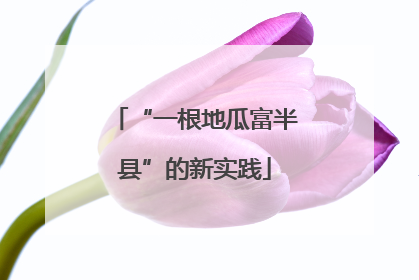 “一根地瓜富半县”的新实践