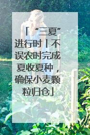 “三夏”进行时丨不误农时完成夏收夏种，确保小麦颗粒归仓