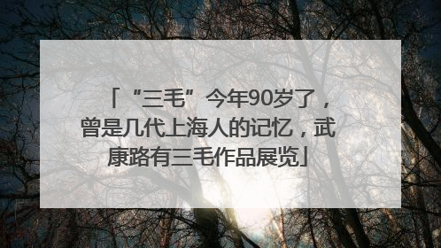 “三毛”今年90岁了，曾是几代上海人的记忆，武康路有三毛作品展览