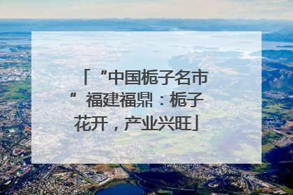 “中国栀子名市”福建福鼎：栀子花开，产业兴旺