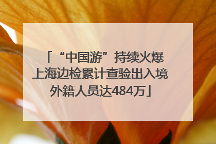 “中国游”持续火爆 上海边检累计查验出入境外籍人员达484万