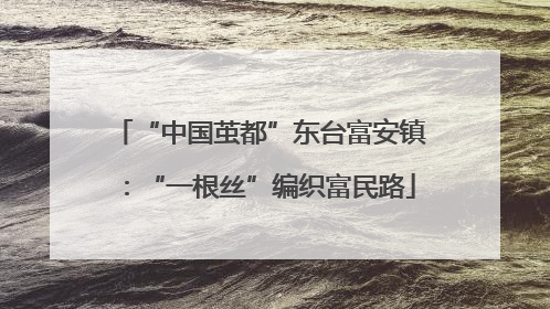“中国茧都”东台富安镇：“一根丝”编织富民路