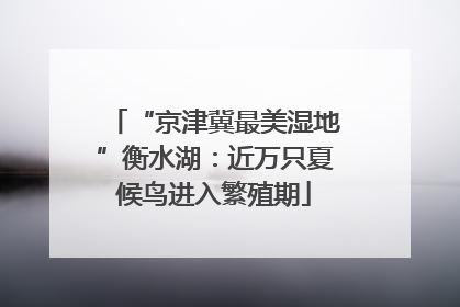 “京津冀最美湿地”衡水湖：近万只夏候鸟进入繁殖期