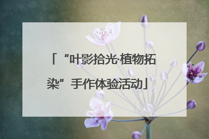 “叶影拾光·植物拓染”手作体验活动