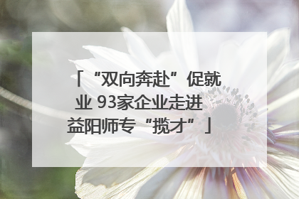 “双向奔赴”促就业 93家企业走进益阳师专“揽才”