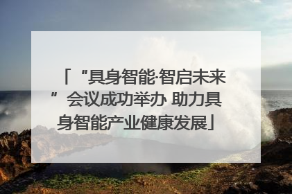 “具身智能·智启未来”会议成功举办 助力具身智能产业健康发展