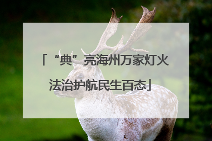 “典”亮海州万家灯火 法治护航民生百态