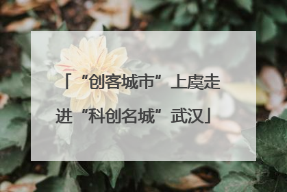 “创客城市”上虞走进“科创名城”武汉