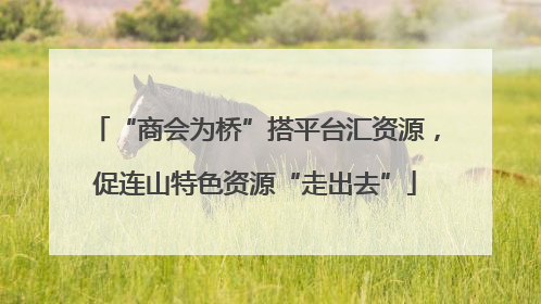 “商会为桥”搭平台汇资源，促连山特色资源“走出去”
