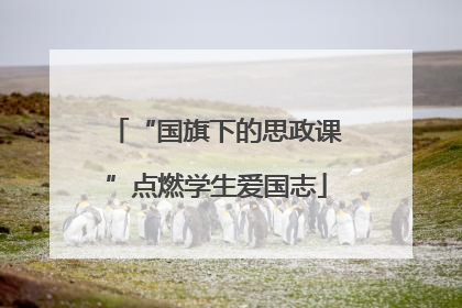 “国旗下的思政课”点燃学生爱国志