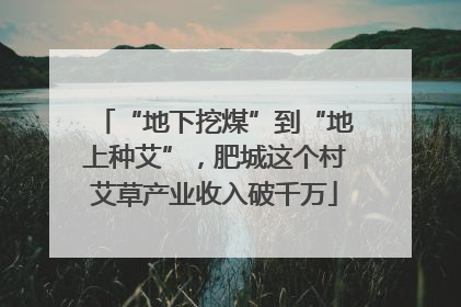 “地下挖煤”到“地上种艾”，肥城这个村艾草产业收入破千万