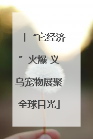 “它经济”火爆 义乌宠物展聚全球目光