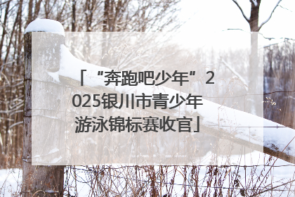 “奔跑吧少年”2025银川市青少年游泳锦标赛收官