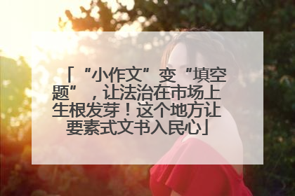 “小作文”变“填空题”，让法治在市场上生根发芽！这个地方让要素式文书入民心