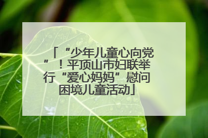“少年儿童心向党”！平顶山市妇联举行“爱心妈妈”慰问困境儿童活动