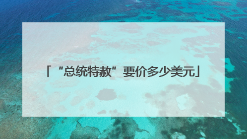 “总统特赦”要价多少美元