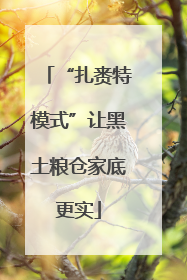 “扎赉特模式”让黑土粮仓家底更实