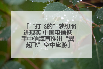 “打飞的”梦想照进现实 中国电信携手中信海直推出“翼起飞”空中旅游