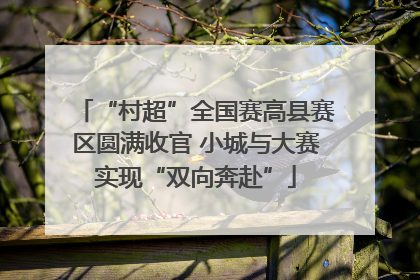 “村超”全国赛高县赛区圆满收官 小城与大赛实现“双向奔赴”