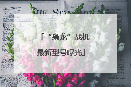 “枭龙”战机最新型号曝光