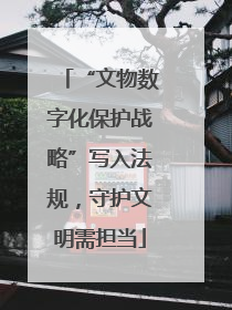 “文物数字化保护战略”写入法规，守护文明需担当