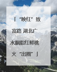 “映红”致富路 湖北广水胭脂红鲜桃火“出圈”
