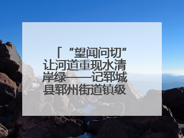 “望闻问切”让河道重现水清岸绿——记郓城县郓州街道镇级河长孟泓辰