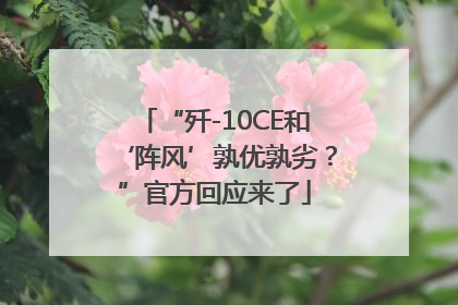 “歼-10CE和‘阵风’孰优孰劣？”官方回应来了