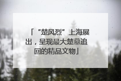 “楚风烈”上海展出，呈现最大楚墓追回的精品文物