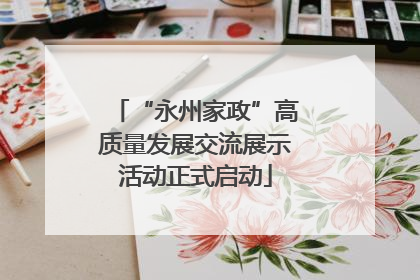 “永州家政”高质量发展交流展示活动正式启动