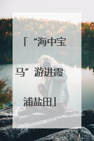 “海中宝马”游进霞浦盐田
